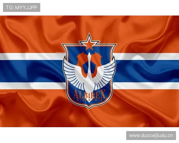 新潟天鹅官方宣布签下马林加边锋莫莱斯 助力球队进攻实力提升 新潟天鹅官方宣布签下马林加边锋莫莱斯 助力球队进攻实力提升